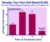 EnzyFluo™ Custom Cell-Based ELISA Kit, BioAssay Systems