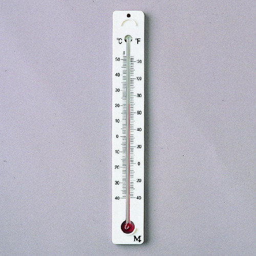 Plastic Back Thermometers