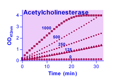 QuantiChrom* Acetylcholinesterase Assay Kit 100 tests