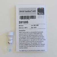 SNAP-SURFACE® 649, New England Biolabs