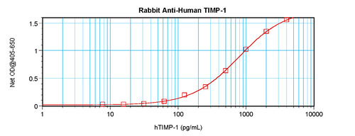 TIMP-1 Antibody