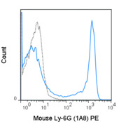 Anti-LY6G Rat Monoclonal Antibody (PE (Phycoerythrin)) [clone: 1A8]