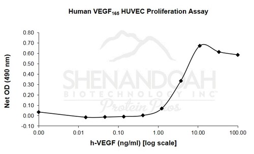 Human Recombinant VEGF-165 (from <i>E. coli</i>)