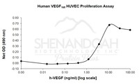 Human Recombinant VEGF-165 (from E. coli)