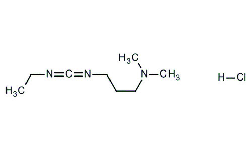 EDC-HCl (N-(3-Dimethylaminopropyl)-N'-ethylcarbodiimide hydrochloride) crosslinker
