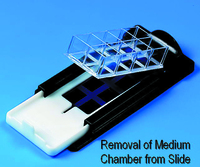 Lab-Tek® II Chamber Slide™ System, Electron Microscopy Sciences