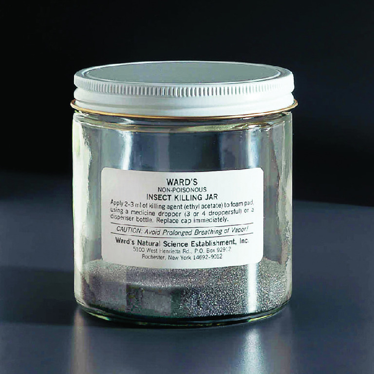 Ward's® Killing Jars Specimen Jars