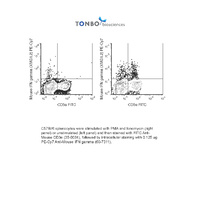 Anti-IFNG Rat Monoclonal Antibody (PE (Phycoerythrin)-Cy7®) [clone: XMG1.2]