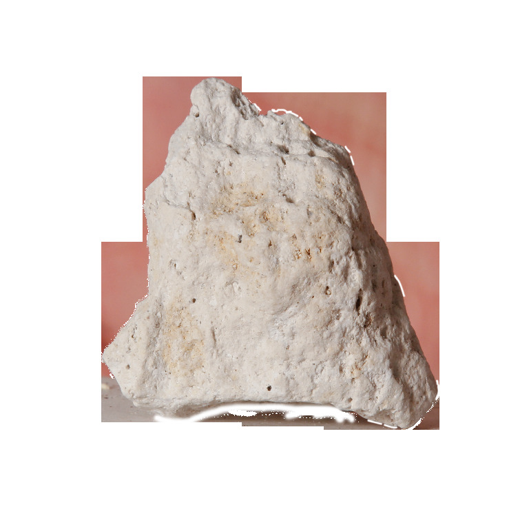Ward's Science Essentials® Pumice | Igneous Rocks
