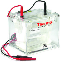 Owl™ Double Sided Gel Vertical Electrophoresis System, Model P82, Thermo Scientific