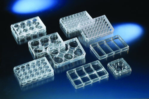 Nunclon™ Multi-Dishes Plates, Electron Microscopy Sciences