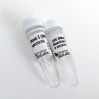 Desoxyribonuclease I (DNase I), New England Biolabs