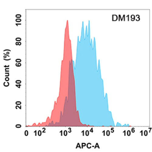 Anti-CD45 Rabbit Recombinant Antibody [clone: DM193]
