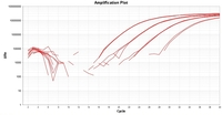 FAST QPCR MASTER MIX TAQMAN 1ML.