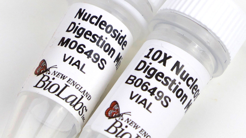 Nucleoside Digestion Mix 50 Reactions