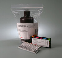 Pierce™ Coomassie Plus™ (Bradford) Protein Assay Kit, Thermo Scientific