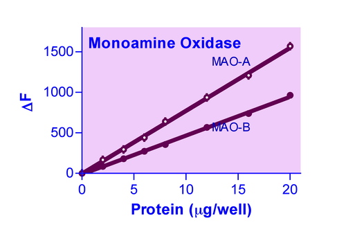 EnzyChrom* Monoamine Oxidase Assay Kit 100 tests