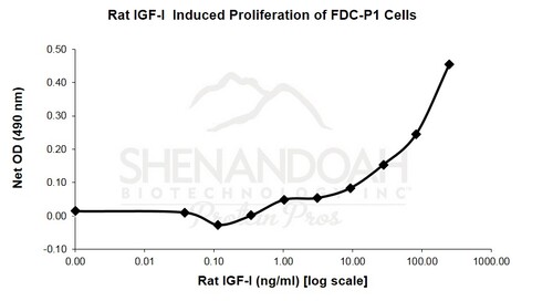 Rat Recombinant IGF-I (from<i> E.coli</i>)