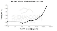 Rat Recombinant IGF-I (from E.coli)