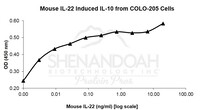 Mouse Recombinant IL-22 (from E. coli)