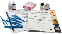 Wards® DNA/Chromosome Staining Lab Activity