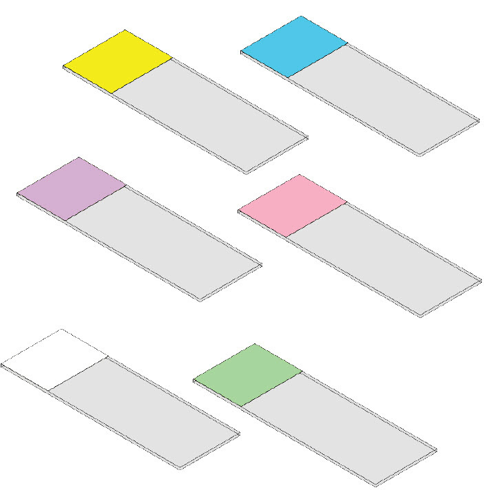 SHURMARK® PLUS Color-Frosted Microscope Slides, Triangle Biomedical ...