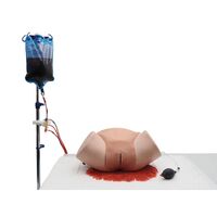3B Scientific® Postpartum Hemorrhage Simulator