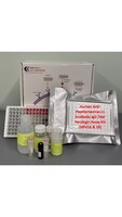Human Anti-Papillomavirus L1 Antibody IgG Titer Serologic Assay Kit (HPV16 & 18)