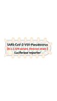 Vsv-Pseudovirus Sars-Cov-2 Omicron Luciferase, ReVacc Scientific