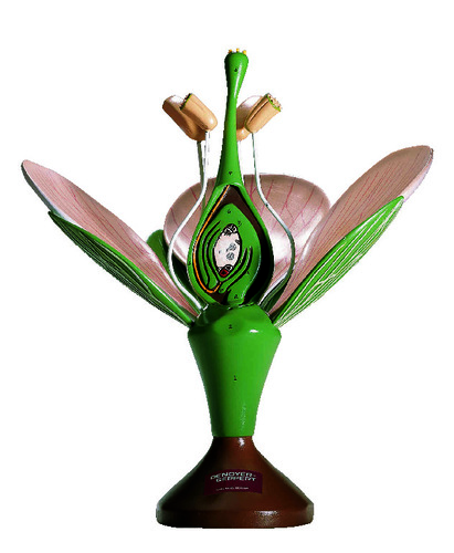 Denoyer-Geppert® Dicot Flower Model