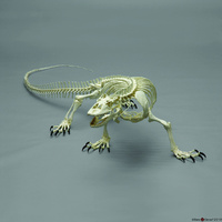 BoneClones® Komodo Dragon Skeleton
