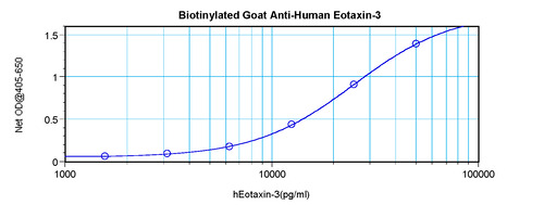 Eotaxin-3 Antibody