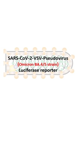VSV-Pseudovirus_SARS-CoV-2 Omicron BA.4/5 Strain Spike with Luciferase Reporter