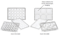 6-Well and 24-Well Cell Culture Plate, Glass Bottom, Chemglass