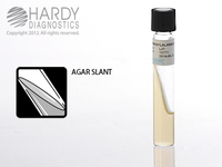 Phenylalanine Agar Slant, Hardy Diagnostics