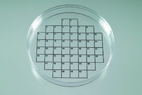 Petri Dish Labels, Electron Microscopy Sciences