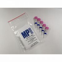 dNTPs Mix 5 mm, 10 mm and 25 mm, MP Biomedicals