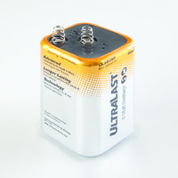Alkaline Lantern Batteries