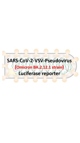 VSV-Pseudovirus_SARS-CoV-2 Omicron BA.2.12.1 Strain Spike with Luciferase Reporter