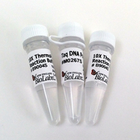 Taq DNA Polymerase with THERMOPOL® Buffer, New England Biolabs