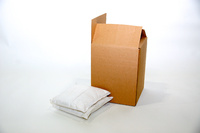 10x10in. Cellulose Pillow