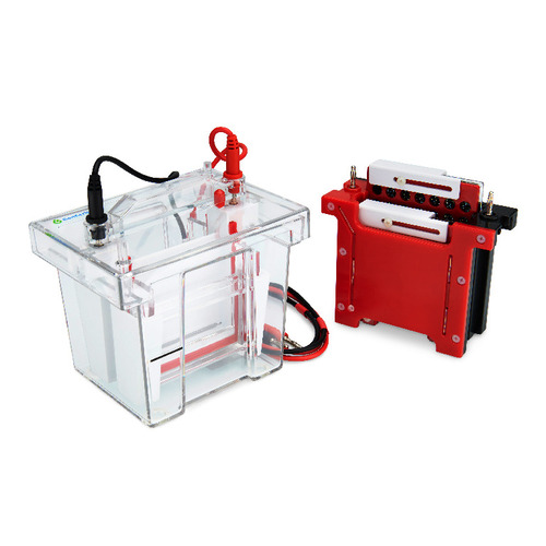 GenBox Mini Blot System is compatible with both GenBox Mini electrophoresis module as well as blot modules for tank blotting. System holds both 10*8 and 10*10 precast gels interchangeably.