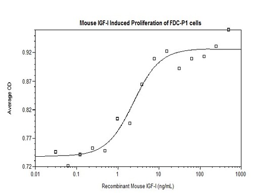 Mouse Recombinant IGF-I (from <i>E. coli</i>)