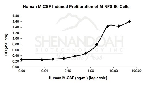 Human Recombinant M-CSF (from <i>E. coli</i>)
