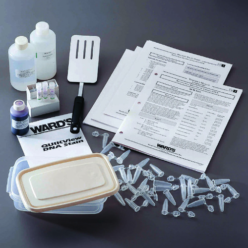 RESTRICTION MAPPING OF DNA GEL KIT