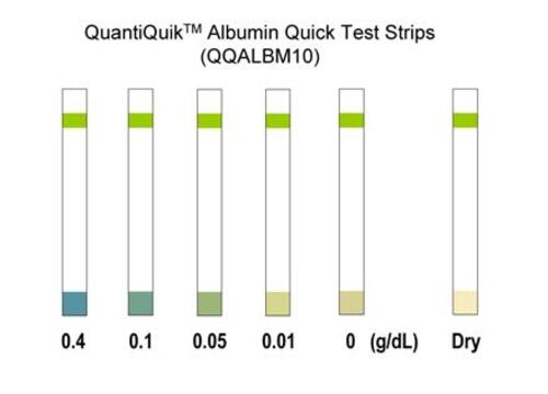 ALBUMIN QUICK TEST STRIP VISUAL 10 TESTS