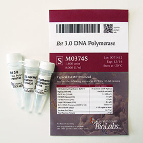 Bst 3.0 DNA Polymerase (120,000 U/ml), New England Biolabs
