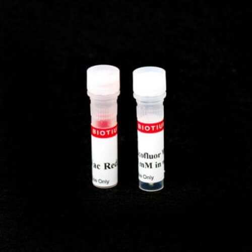 Kit Yeast Vitality Staining 1000Assays