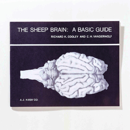 BOOK SHEEP BRAIN BASIC GUIDE(R COOLEY)
