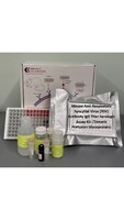 Mouse Anti-Respiratory Syncytial Virus (RSV) Antibody IgG Titer Serologic Assay Kit (Trimeric Prefusion Glycoprotein)